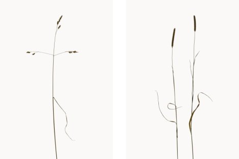 Hans Christian Schink im MdbK Leipzig