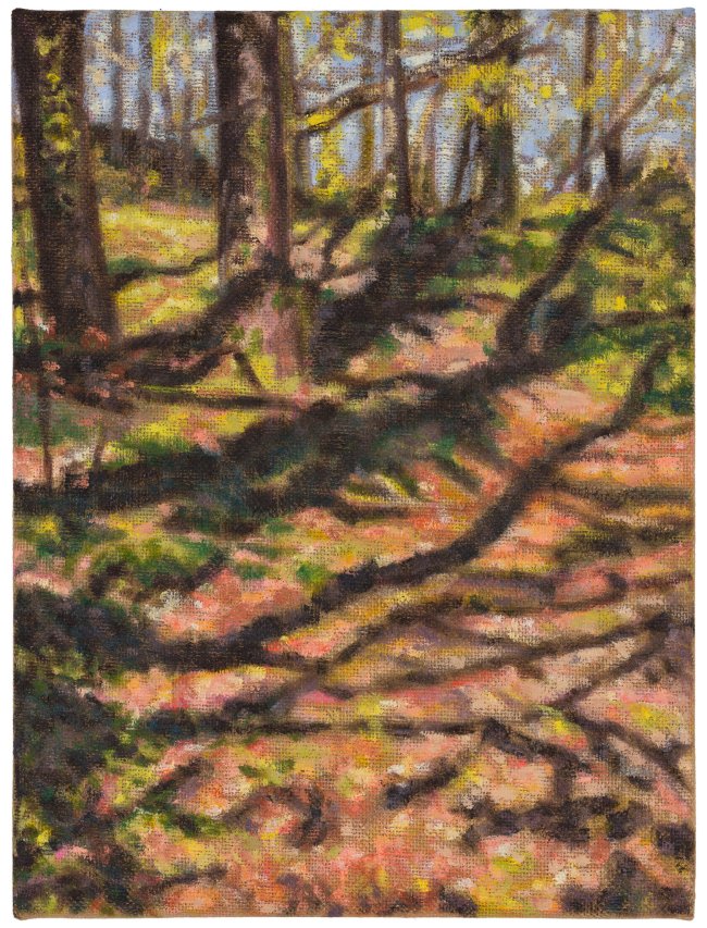 Hjördis Baacke: Mutzschen, 2023, Öl auf Leinwand, 40 x 30 cm, 1200 Euro