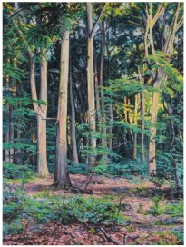 Hjördis Baacke: Rügen, 2025, Öl auf Leinwand, 200 x 150 cm, 6000 Euro