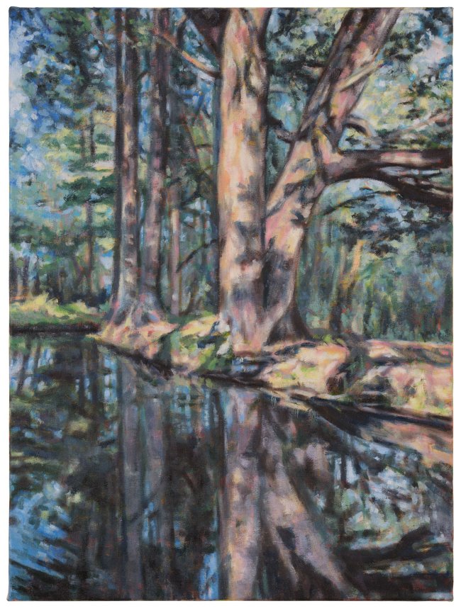 Hjördis Baacke: Spreewald 1, 2024, Öl auf Leinwand, 60 x 45 cm, 1700 Euro