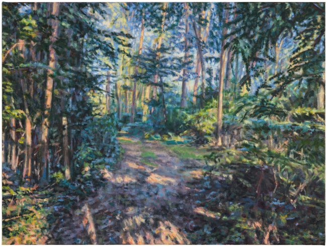 Hjördis Baacke: Wald Kolpin, 2025, Öl auf Leinwand, 80 x 60 cm, 2400 Euro