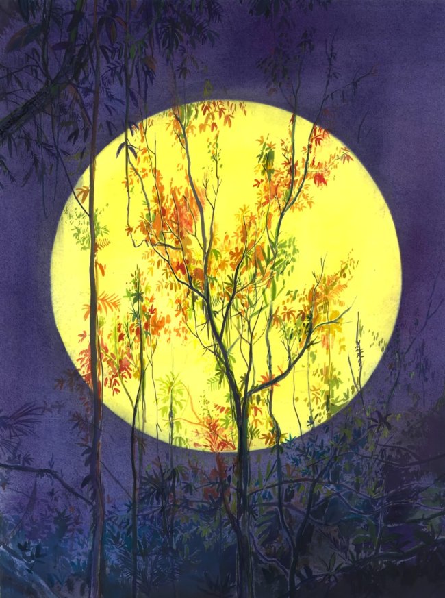 Wieland Payer: Quest VI, 2025, Pastell, Aquarell und Kohle auf Papier, 48 x 36 cm, 2100 Euro