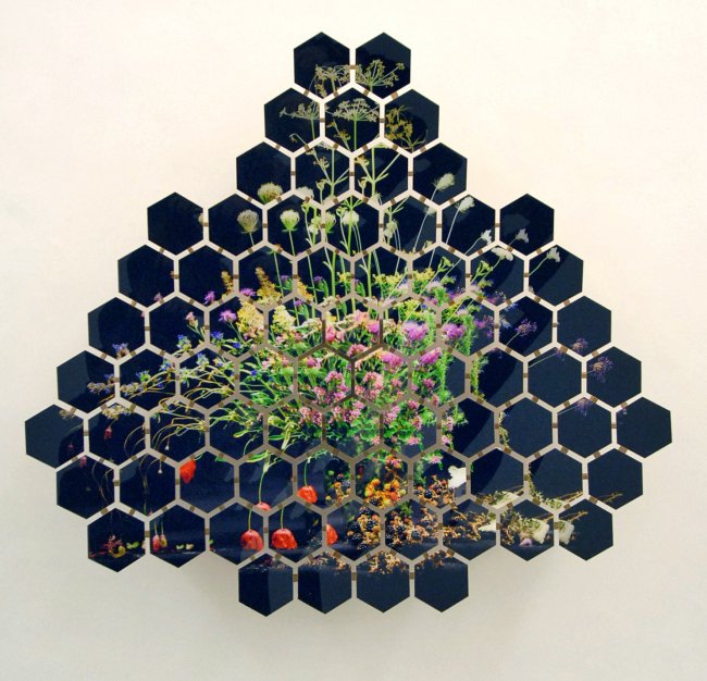 Still Life No 02 , 2011, Photographie auf Holz