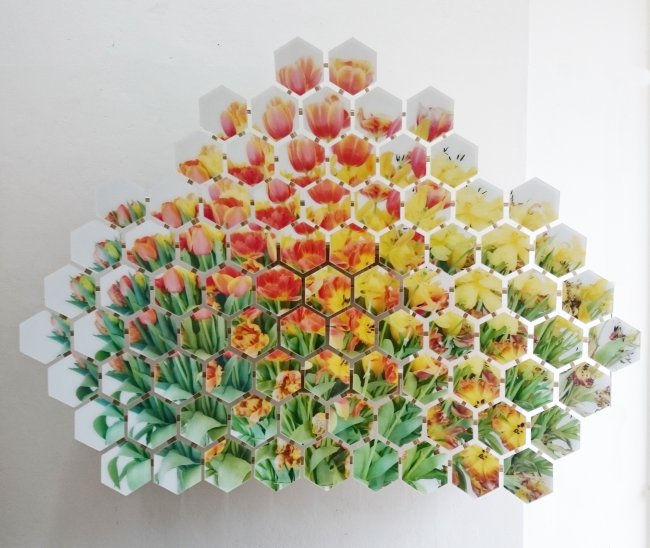 Tulip No.01, 2017, Photographie auf Holz