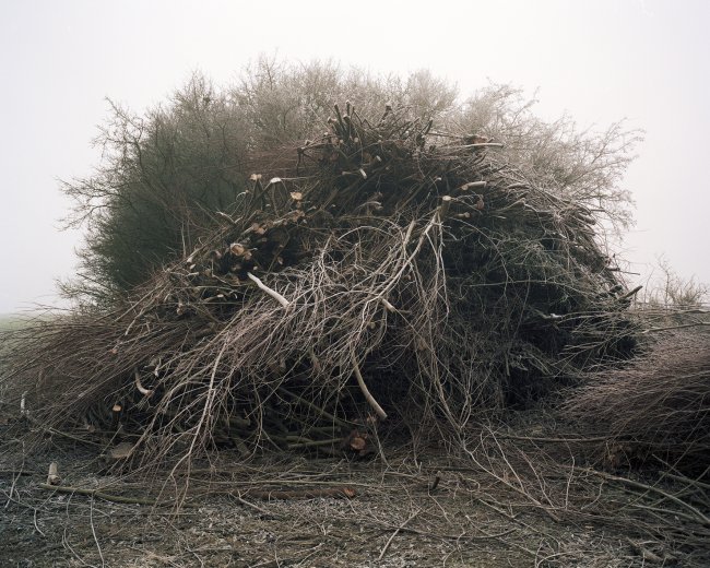 Hans-Christian Schink, Bei Woldegk, from the series „Hinterland"
