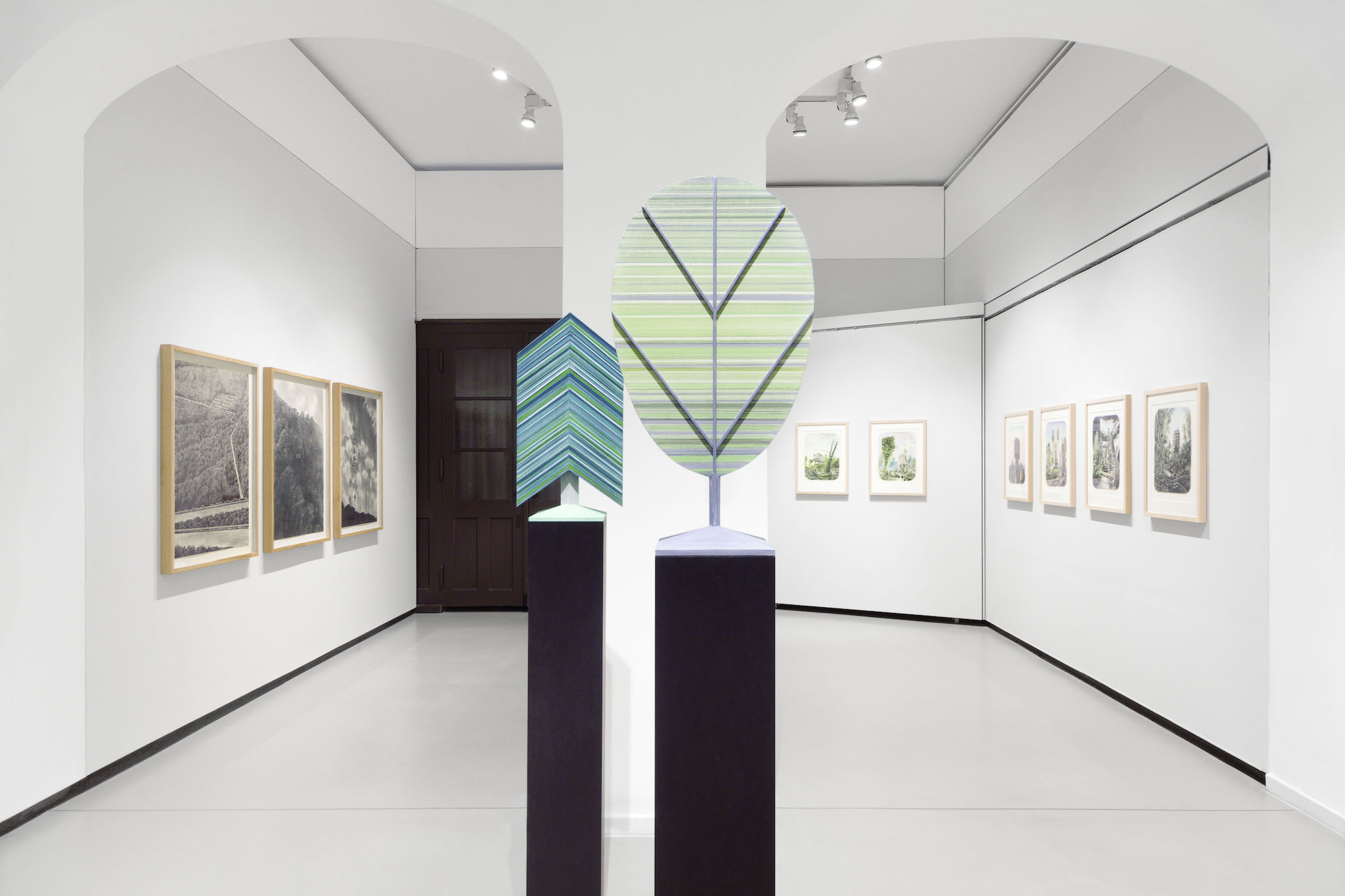 Wieland Payer Quedlinburg